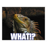 The What!? Iguana invitations