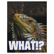 The What!? Iguana flyers by djskagnetti The What!? Iguana flyers