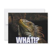 The What!? Iguana invitations by djskagnetti The What!? Iguana invitations
