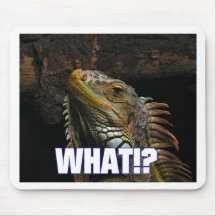 The What!? Iguana Mousepads