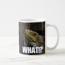 The What!? Iguana Mugs
