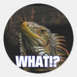 The What!? Iguana stickers