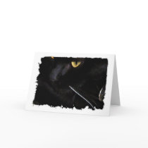 The Whisker cards