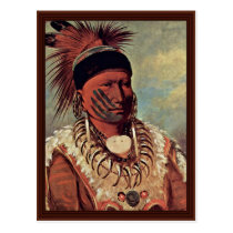 The White Cloud Head Chief Of The Iowa postcards