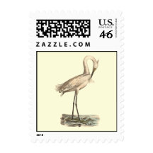 The White-crested Heron	(Ardea candidissima) Postage