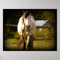 The White Horse Approaches Poster
