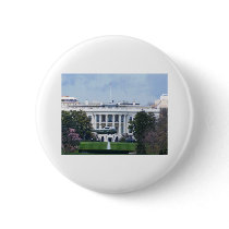 The White House Pins