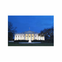 The White House. Cut Out