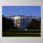 The White House Posters