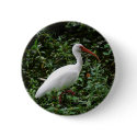 The White Ibis... buttons