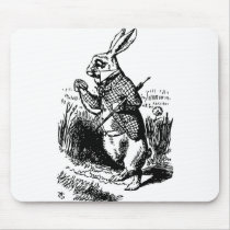 The White Rabbit