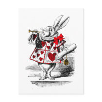 The White Rabbit Postcards