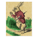 The White Rabbit Postcard