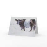 The White Stripe cards