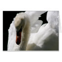 The White Swan Card by kdpurdy The White Swan Card