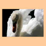 The White Swan posters