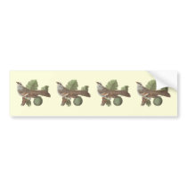 The White-throated Sparrow: Fringilla pensylvanica Bumper Sticker