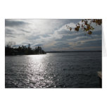 The Whiteshell by Koobear cards