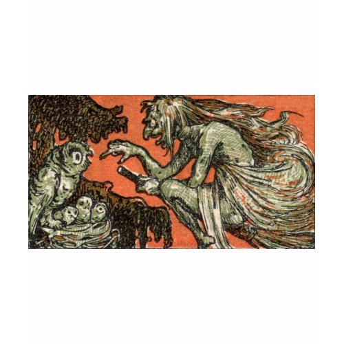 The wicked witch and the owls shirt