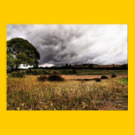 The wide brown land for me posters