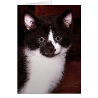 The Wide Eyed One Greeting Card card