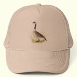 The Wild Goose	(Anser canadensis) hats
