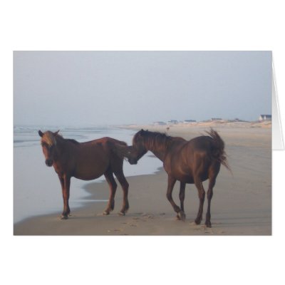 The Wild Horses of Carova Beach Cards by Butterfly2008