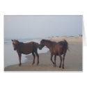 The Wild Horses of Carova Beach cards by Butterfly2008 The Wild Horses of Carova Beach cards
