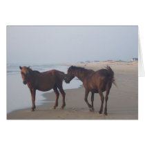 The Wild Horses of Carova Beach cards by Butterfly2008 The Wild Horses of Carova Beach cards