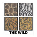 The Wild posters by rbyrtus The Wild posters
