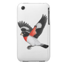 The Wild Rose Breasted Grosbeak Bird Iphone 3 Cases