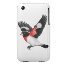 The Wild Rose Breasted Grosbeak Bird iPhone 3 Cases