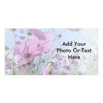 The Wildflower Dream photo cards by GAZoomIn The Wildflower Dream photo cards