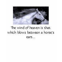The Wind of Heaven T~Shirt