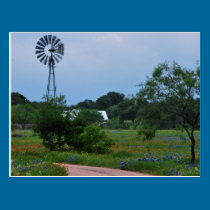 The Windmill in the Wildflowers postcards