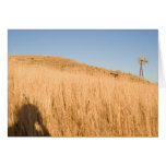 The Windmill, the Field & Me cards