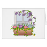 The Window Box Card