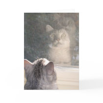 The Window cards by brookiemau The Window cards