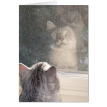 The Window Greeting Card