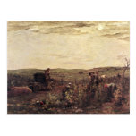 The Wine Harvest in Burgundy, 1863 Postcards
