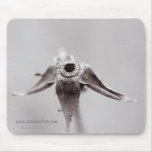 The Winter Look mousepads