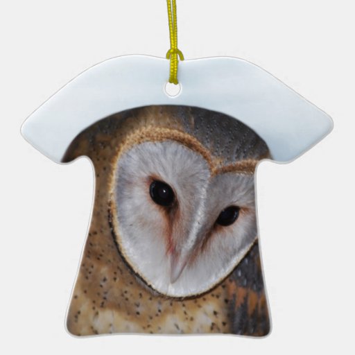 The wise old owl christmas ornament