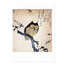 The Wise Old Owl Post Card