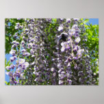 The wisteria black guest Print