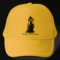 The Witch hats