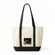 The Witching Hour bags