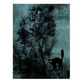 The Witch's Cat Post Card