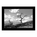 The Withered Tree posters by UponInfinity The Withered Tree posters