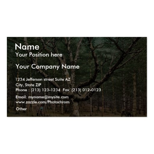 The Wizard tree, Cathedral Woods, Intervale, N.H. Business Card Template