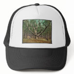 The Wizard tree, Cathedral Woods, Intervale, N.H. Mesh Hat